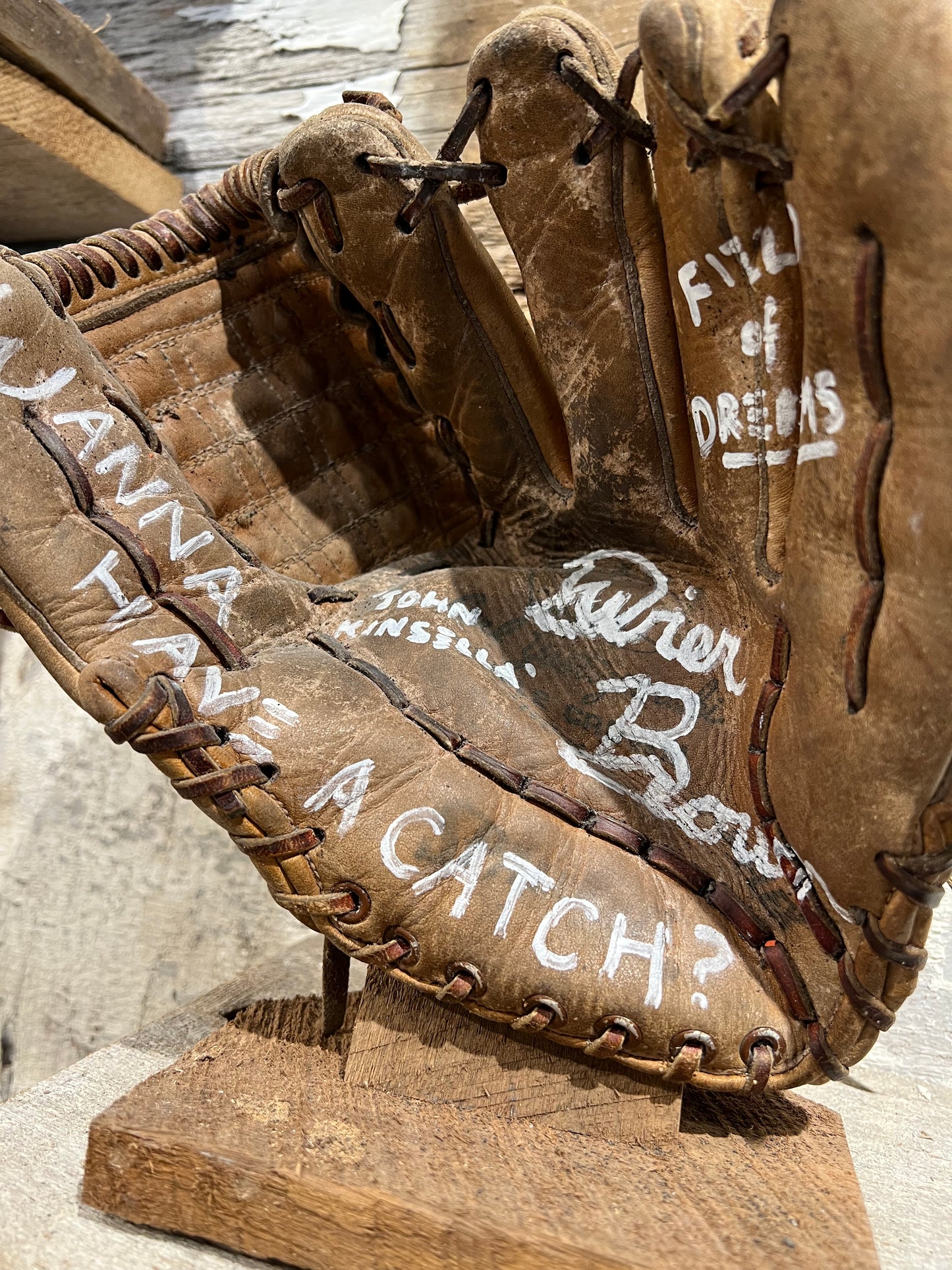 Dwier Brown Signed Baseball Glove Vintage