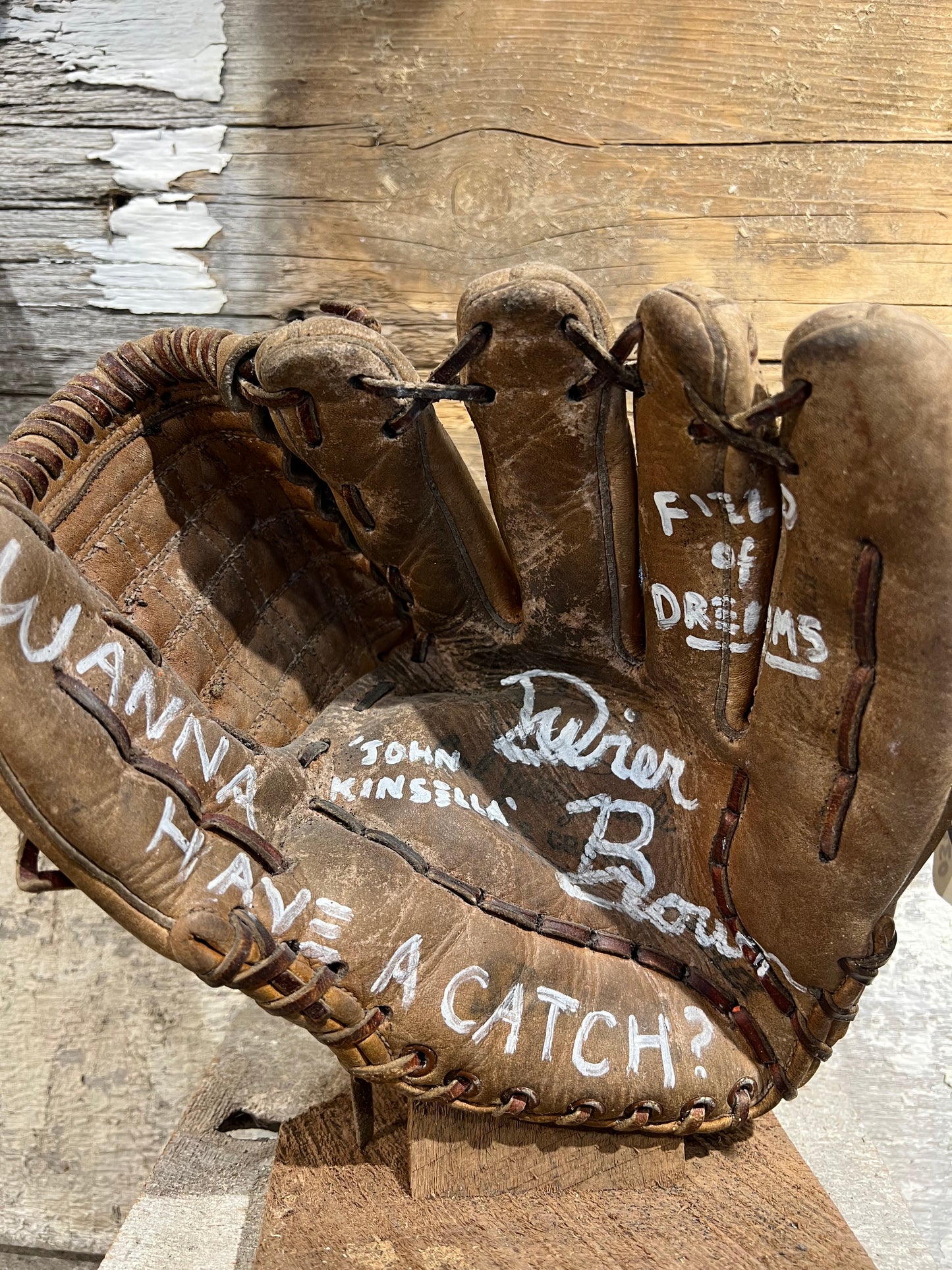 Dwier Brown Signed Baseball Glove Vintage